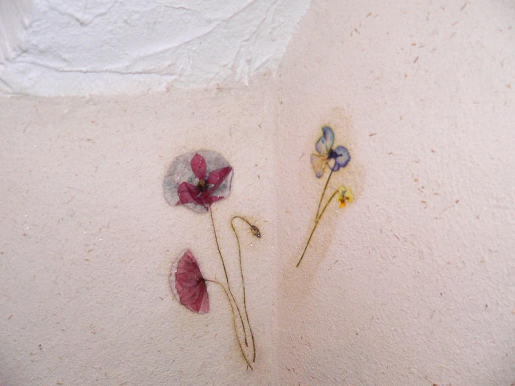 Granier Chambres Et Gite "Pollen" المظهر الخارجي الصورة